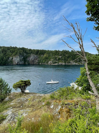 widok na jezioro z małą łódką